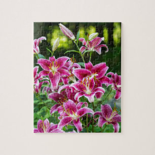Quebra-cabeça Stargazer Lily