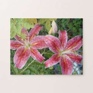 Quebra-cabeça Stargazer Lily Garden Floral