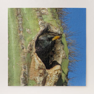 Quebra-cabeça Starling em Saguaro Cactus Foto do Pássaro Sudoes
