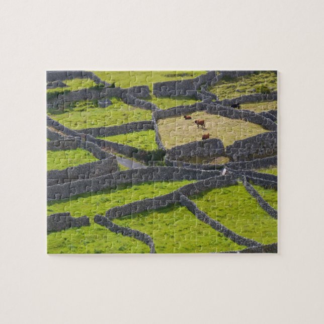 Quebra-cabeça Stone Walls Galway Irlanda. (Horizontal)