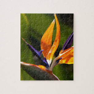 Quebra-cabeça Strelitzia. Pássaro da flor de paraíso
