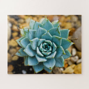 Quebra-cabeça Succulent