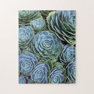 Quebra-cabeça Succulent Photography Succulent Day Cactus Stock