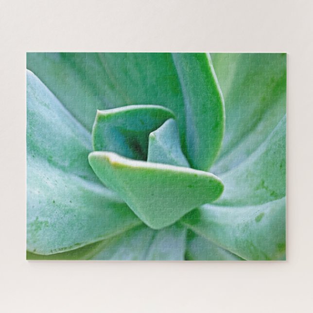 Quebra-cabeça Succulent Swirl (Horizontal)