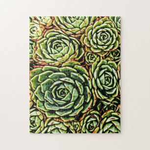 Quebra-cabeça Succulents