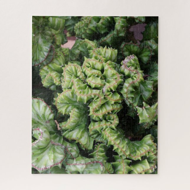 Quebra-cabeça Suculenta (Vertical)