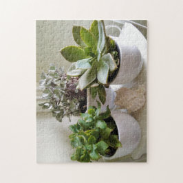 Quebra-cabeça Suculentos em Cute Potência com Foto de Seashell