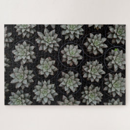 Quebra-cabeça Sucultivos em Potes