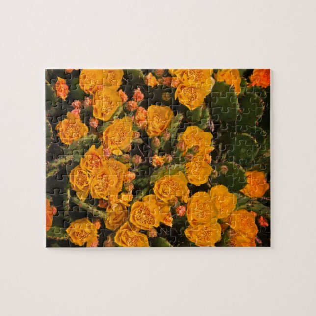 Quebra-cabeça Sucultivos Flores de Jardim Plantas Amarelas Verde (Horizontal)