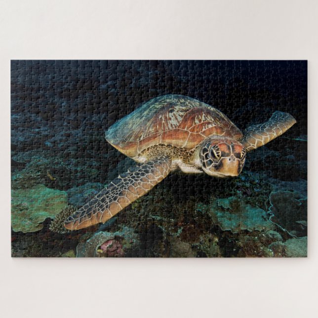 Quebra-cabeça Sulawesi | Green Sea Turtle (Horizontal)