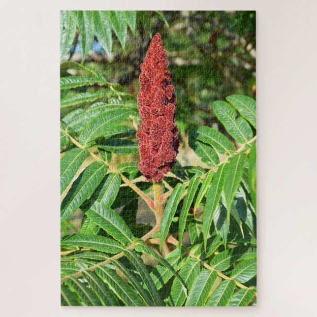 Quebra-cabeça Sumac em França (Vertical)