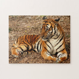 Quebra-cabeça Sumatran Tiger 2