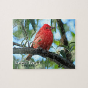 Quebra-cabeça Summer Tanager Bird