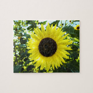 Quebra-cabeça Sunny Sunflower