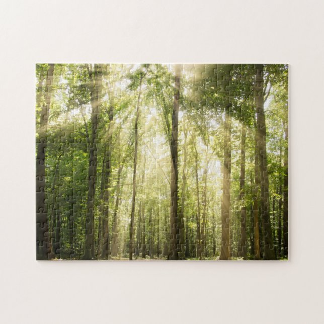 Quebra-cabeça Sunrays através das copas de árvore (Horizontal)