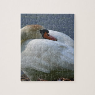 Quebra-cabeça Swan