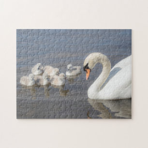 Quebra-cabeça Swan & Young Cygnets