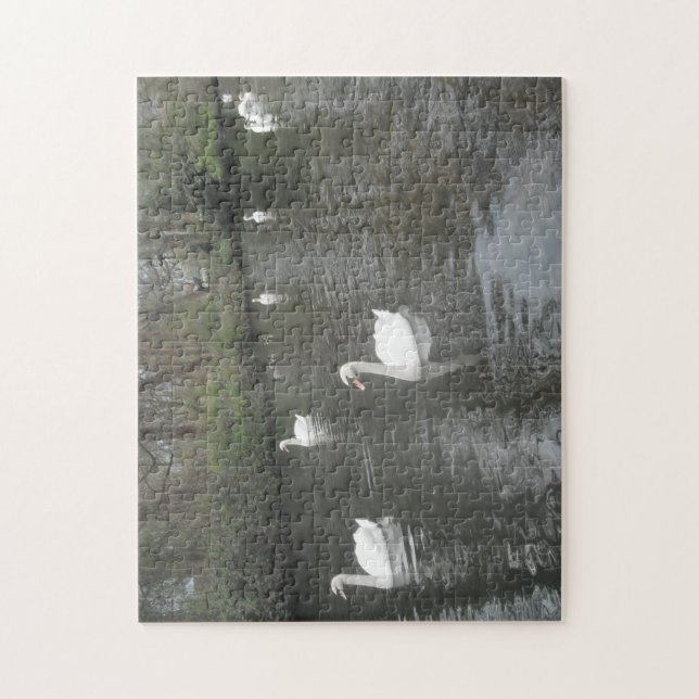 Quebra-cabeça Swans Nadando (Vertical)