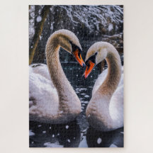 Swans Românticos em uma Terra Maravilha de inverno
