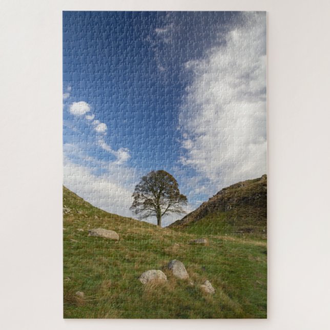 Quebra-cabeça Sycamore Gap (Vertical)