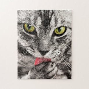 Quebra-cabeça Tabby Cat Licing Paw