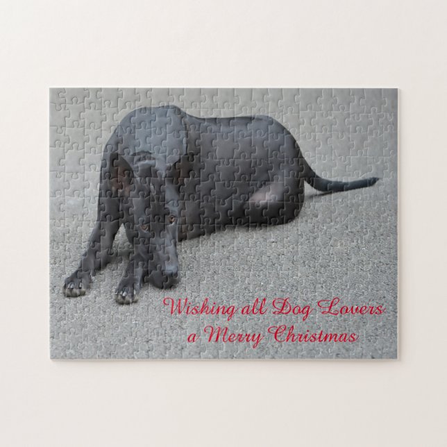 Quebra-cabeça Tai Ridgeback Cães Jigsaws. (Horizontal)