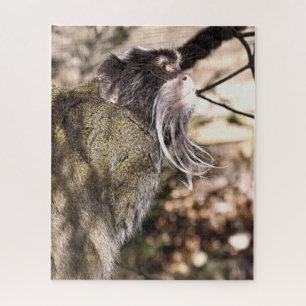 QUEBRA-CABEÇA TAMARIN MONKEY