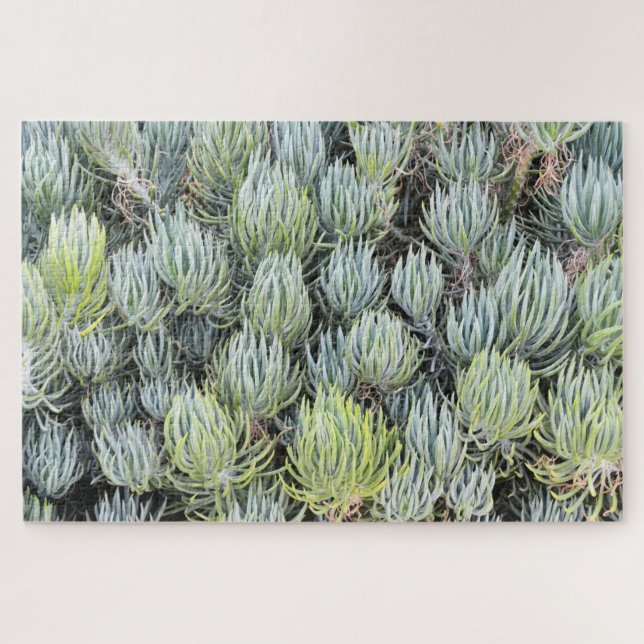 Quebra-cabeça Tampas azuis (Horizontal)