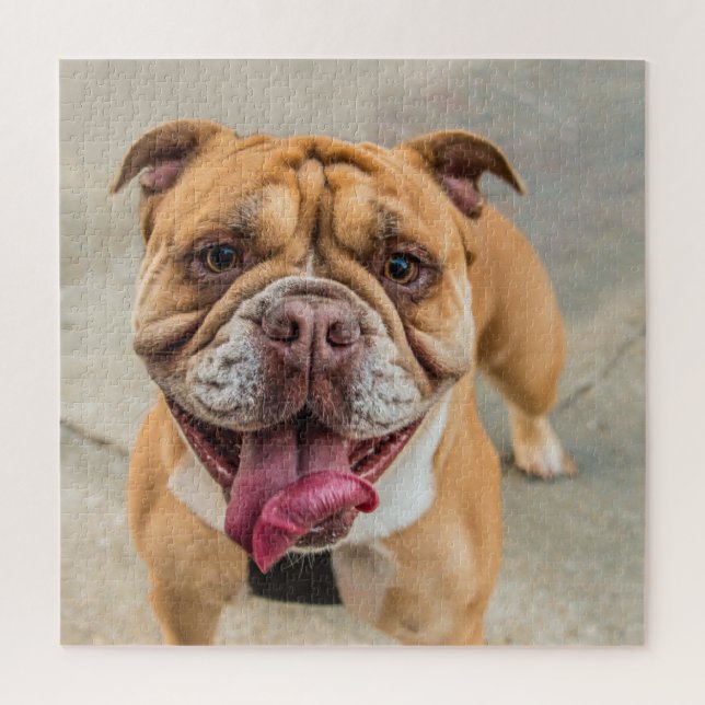 Quebra-cabeça Tan Happy Dog Photo (Vertical)