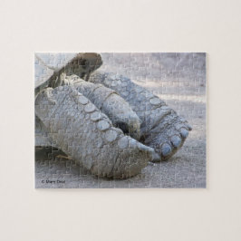 Quebra-cabeça Tartaruga de Sulcata