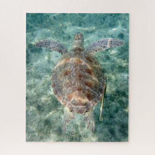 Quebra-cabeça Tartaruga marinha