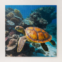 Tartaruga Marinha Recife de Coral Subaquático
