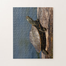 Quebra-cabeça Tartaruga pintada em um tronco