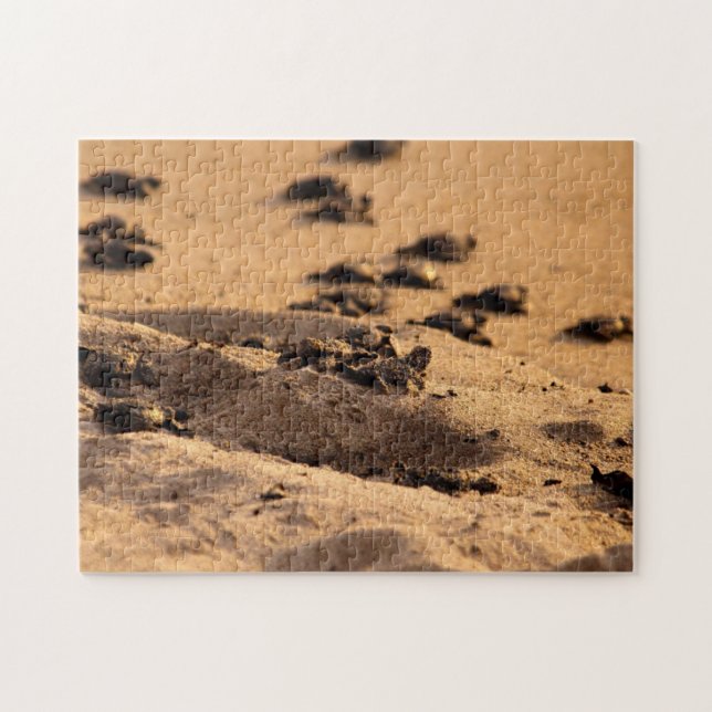 Quebra-cabeça Tartarugas de mar (Horizontal)