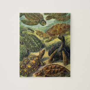 Quebra-cabeça Tartarugas do Mar Vintage e Tortoises por Ernst Ha