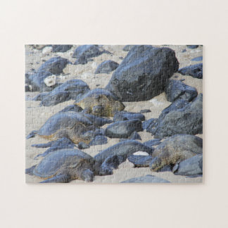 Quebra-cabeça Tartarugas marinhas em Maui