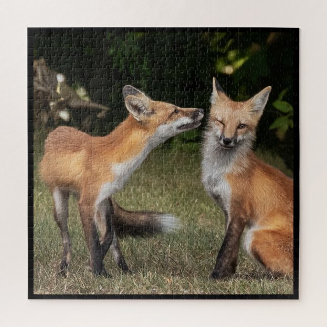 Quebra-cabeça Tem Uma Casa? (Vertical)