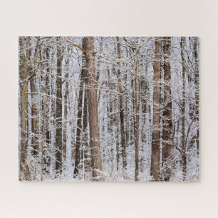 Quebra-cabeça Tempestade de gelo de inverno na floresta - 16x20