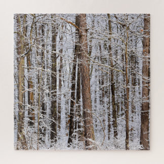 Quebra-cabeça Tempestade de gelo de inverno na floresta - 20x20