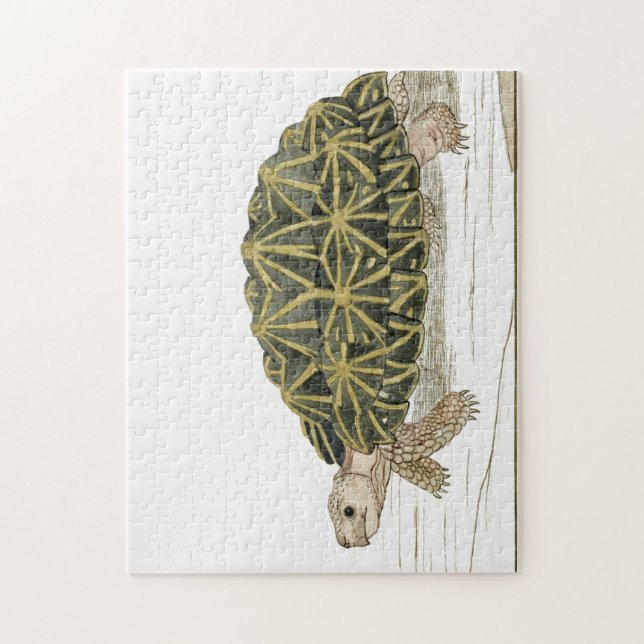 Quebra-cabeça Tent Tortoise | Turtle Beach Sea Animal (Vertical)