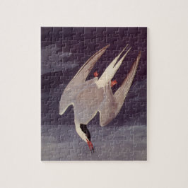 Quebra-cabeça Tern Arctic por John James Audubon, Aves Vintage