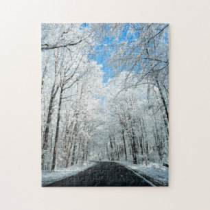 Quebra-cabeça Terra Maravilha de inverno de neve
