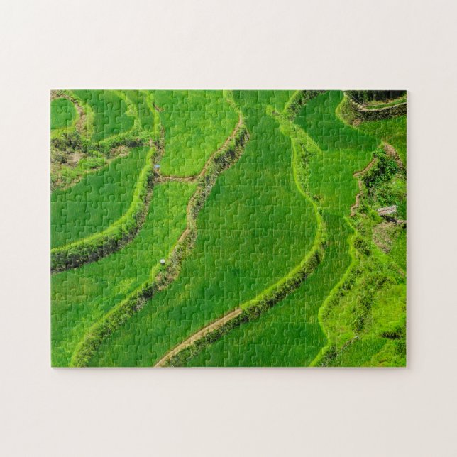 Quebra-cabeça Terraços de Arroz (Horizontal)