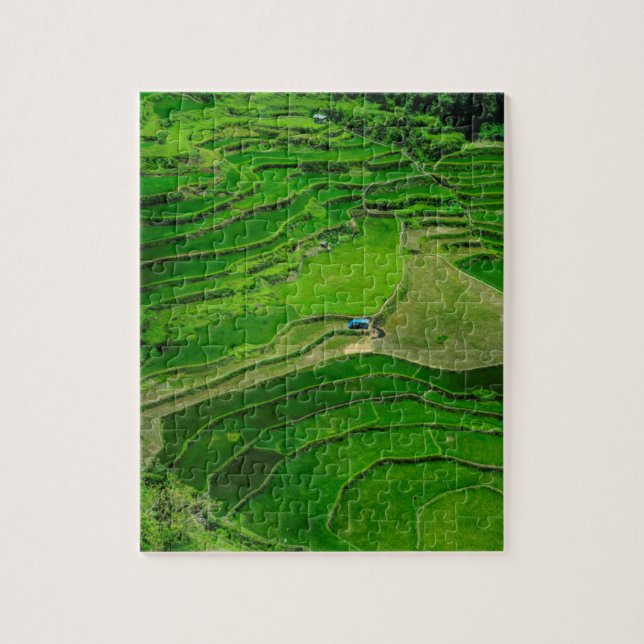Quebra-cabeça Terraços de arroz verde, Filipinas (Vertical)