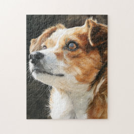 Quebra-cabeça Terrier chihuahua mixed breed dog closeup