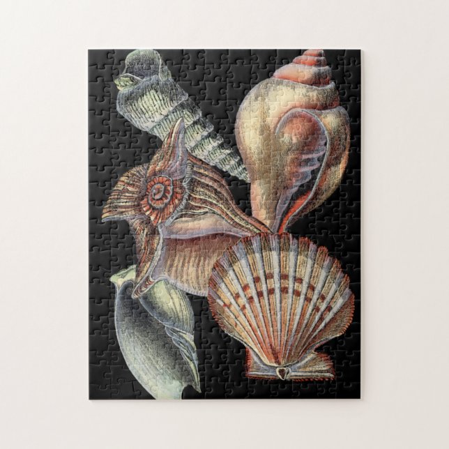 Quebra-cabeça Tesouros do mar (Vertical)