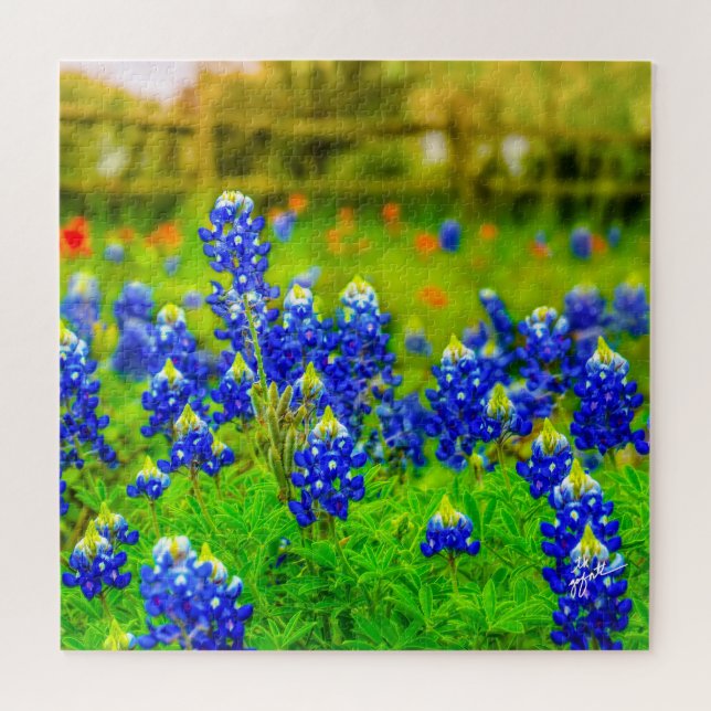 Quebra-cabeça Texas Bluebonnets Indian Floral Nature Viagem (Horizontal)