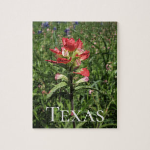 Quebra-cabeça Texas Wildflower