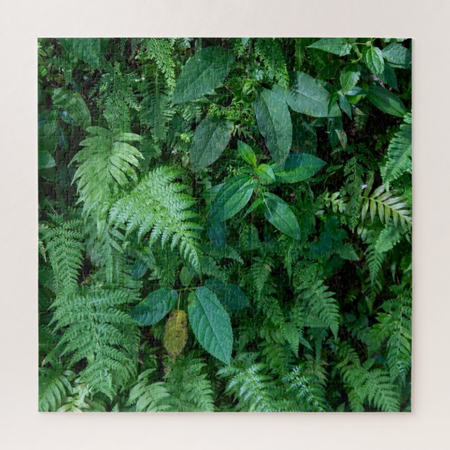 Quebra-cabeça Textura da Folhagem da Grama Samambaia Verde (Vertical)