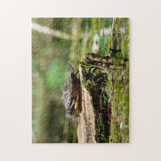 Quebra-cabeça "The Shy Turtle" 252 Piece Jigsaw Puzzle